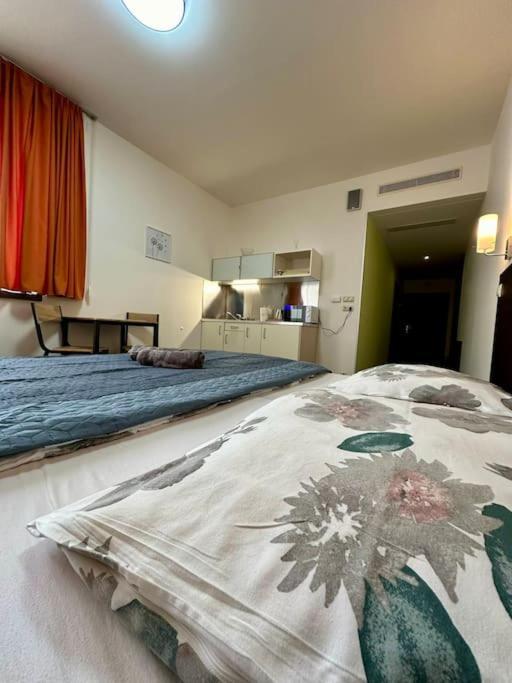 Apartman Priamo Na Hlavnej Ulici Košice Exteriör bild